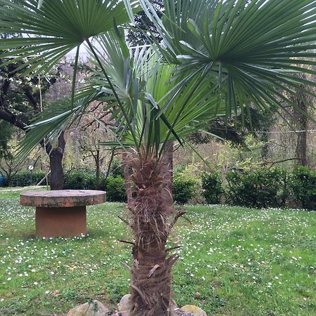 Locanda Irene Monte San Pietro Dış mekan fotoğraf